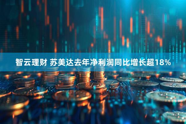 智云理财 苏美达去年净利润同比增长超18%